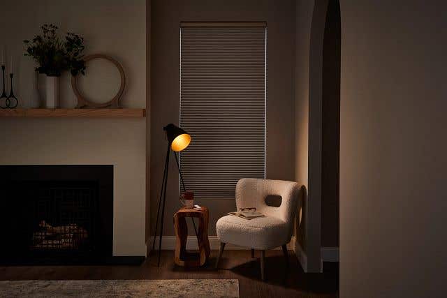 Sitting Room with Architectural Honeycomb Shades