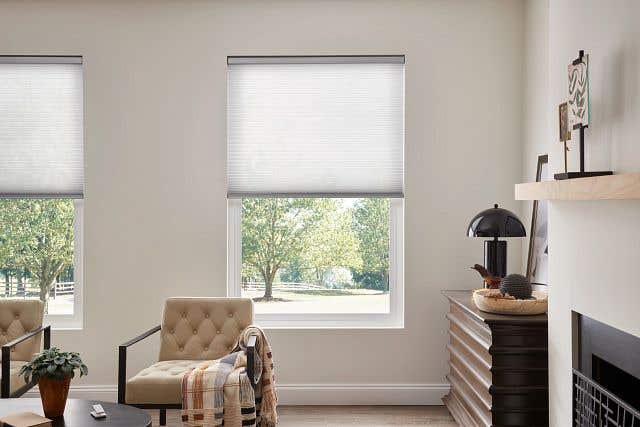 Living Room with Architectural Honeycomb Shades