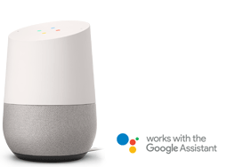 Google Assistant