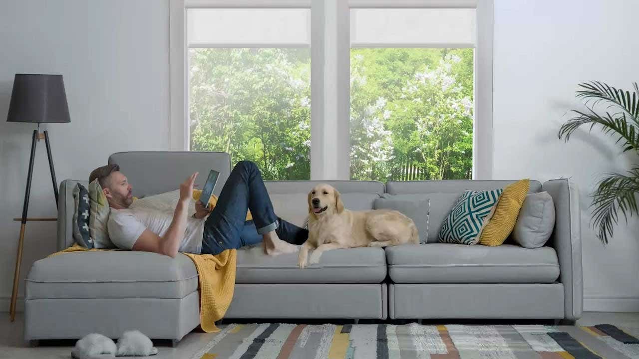 Man laying on couch using an ipad, with a dog sitting next to him and white roller shades almost fully open