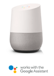 Google Assistant