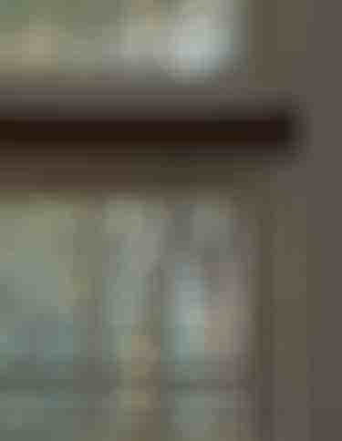 Wood blinds up close, trees visible through the window