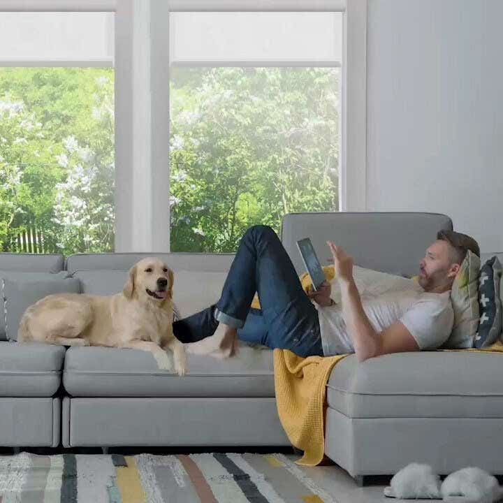 Man laying on couch using an ipad, with a dog sitting next to him and white roller shades almost fully open